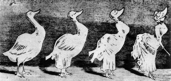 fadagály karikatúra _ULK című berlini élclapból 1883. Adalék a fajok eredetéhez_A turnűr származása.